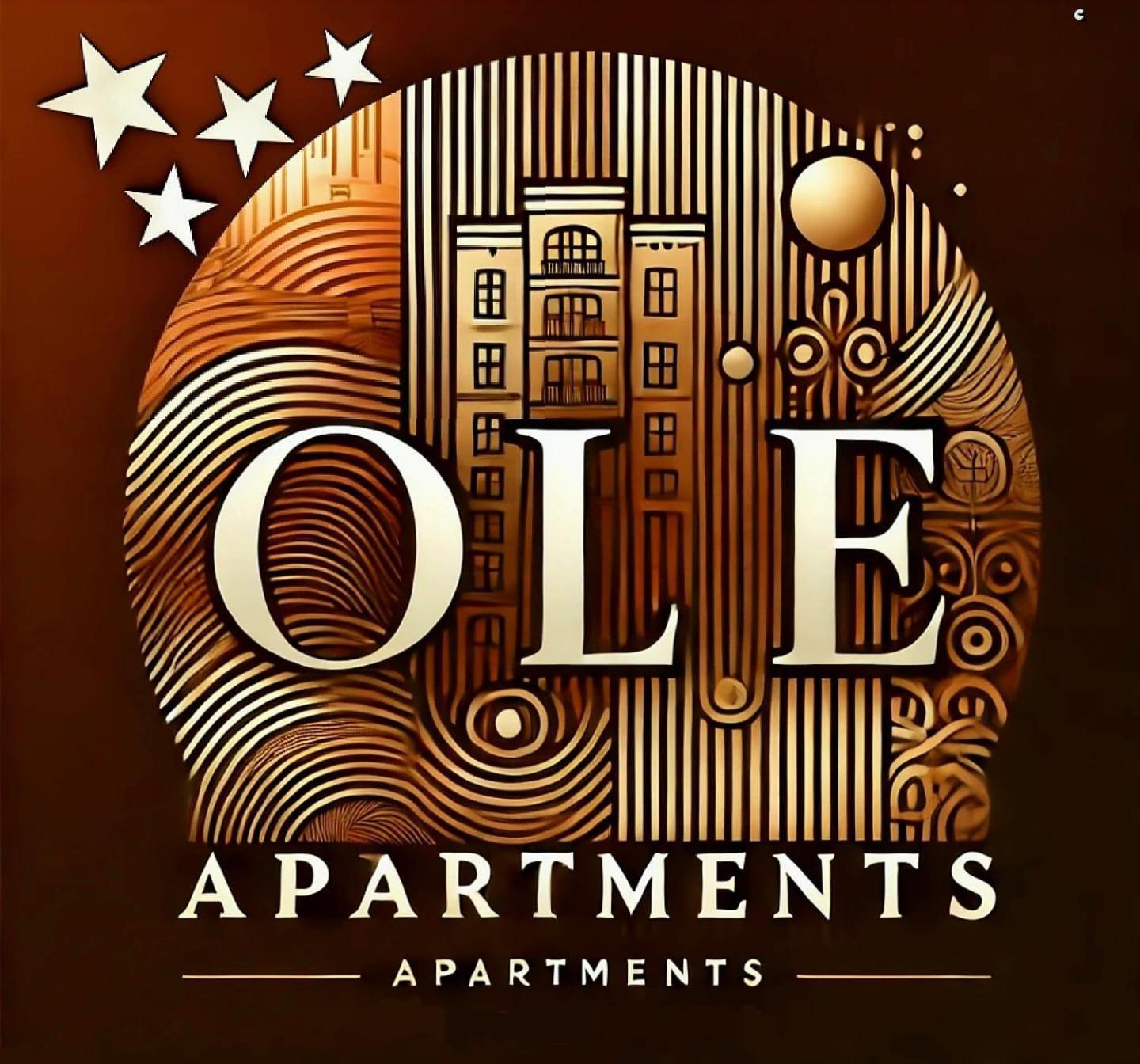 Ole Apartment - Get Your Energy For Free! Coffee And Tea On The House Temeşvar Dış mekan fotoğraf